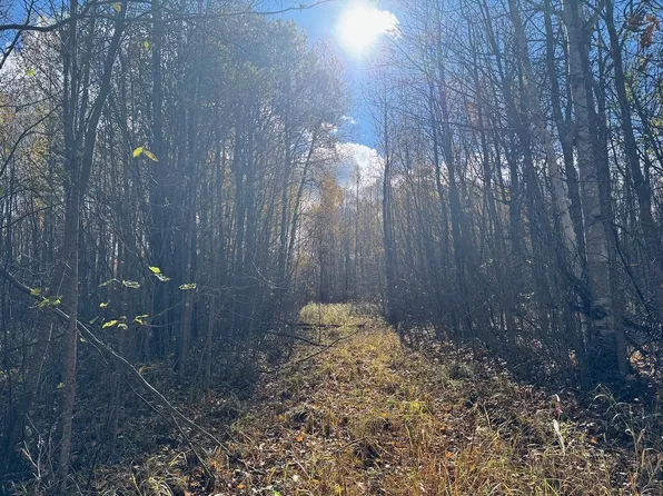 Tbd Spangrud Ct NE, Kelliher, MN 56650