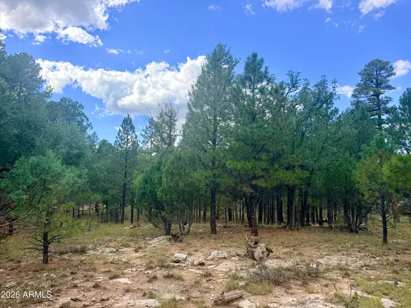 1601 MULE DEER Place #120, Happy Jack, AZ 86024