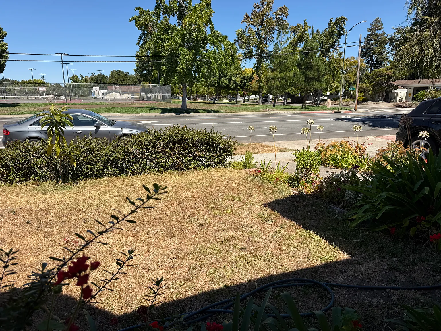 1 bed, 680 sqft, $3,500 — Photo 2