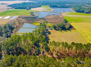 22210 Pastoral Ln, Foley, AL 36535