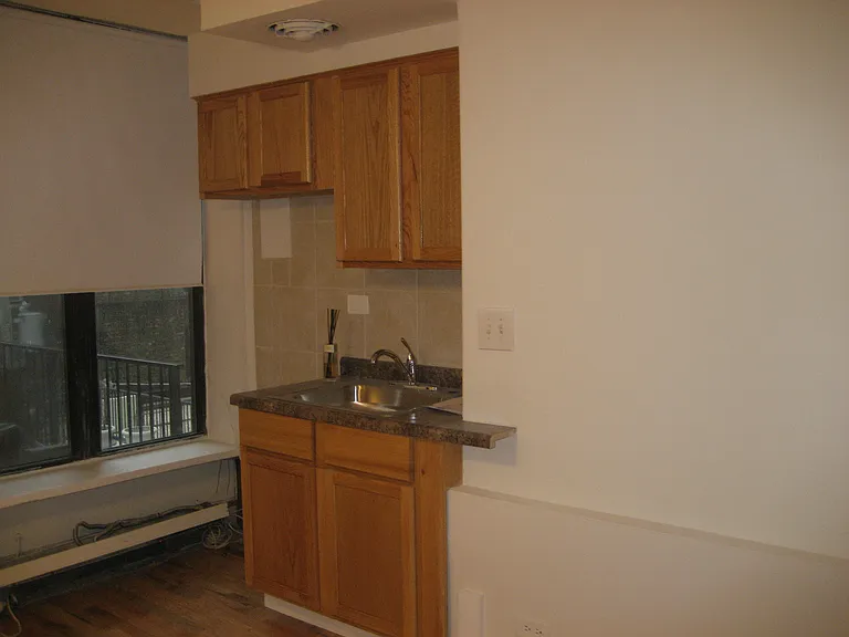 60 E Bellevue Pl #3-C — Photo 4