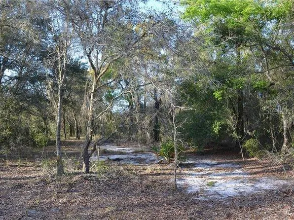 Grandville Ave Lot 19-20, Hudson, FL 34669
