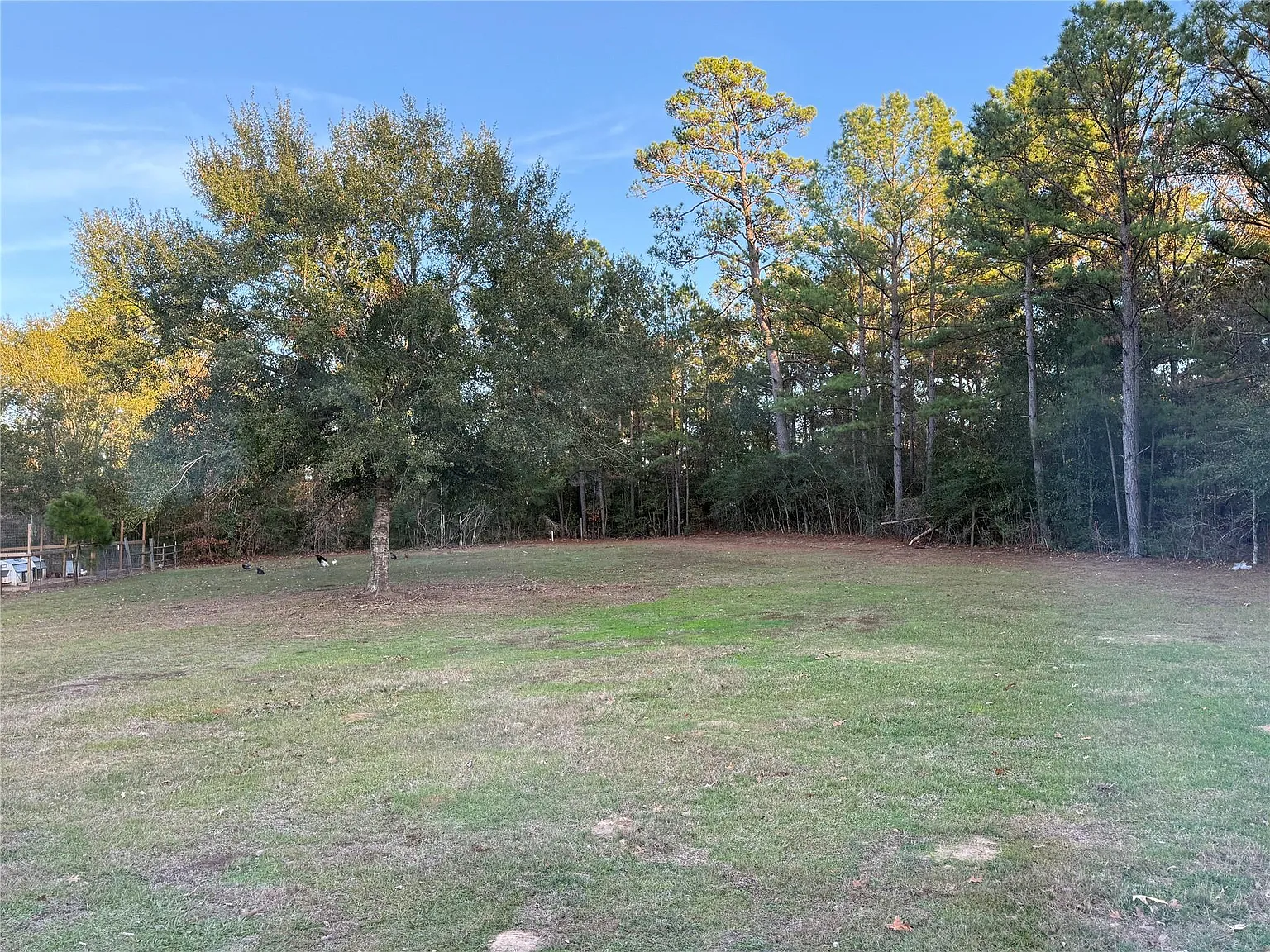 3 bed, 2.0 bath, 1368 sqft, $1,975 — Photo 2