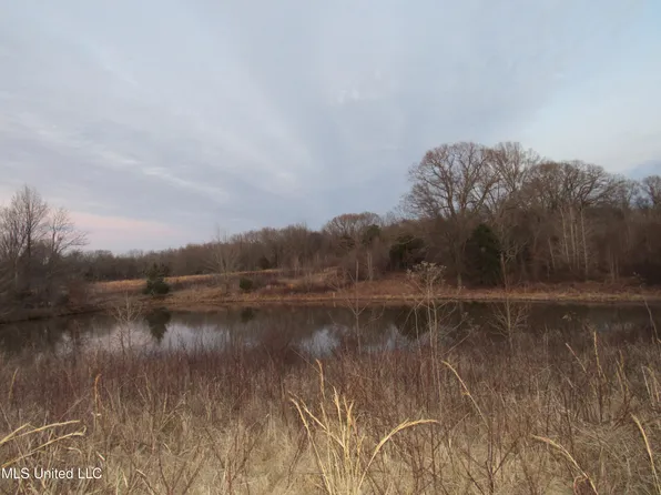 State Highway 310, Como, MS 38619