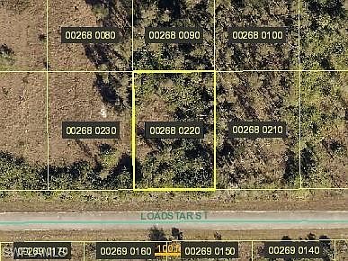2nd image of 255 Loadstar St