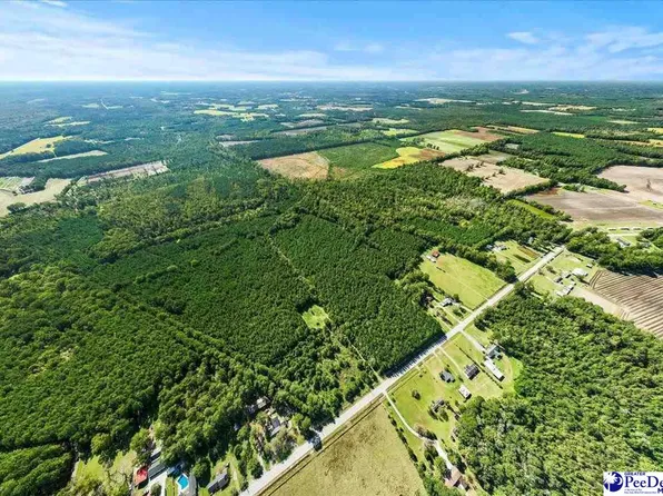 E Friendfield Rd Tract A-48, Scranton, SC 29591