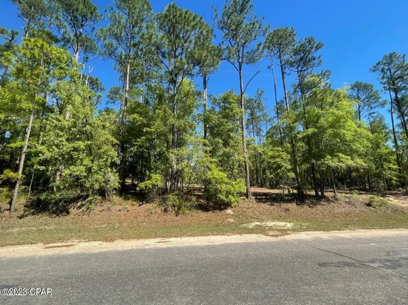 1015 View Dr, Alford, FL 32420