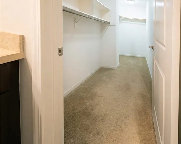 820 E Ruby Lace Way — Photo 15