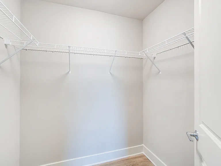 Large Closets With Wood-Style Flooring