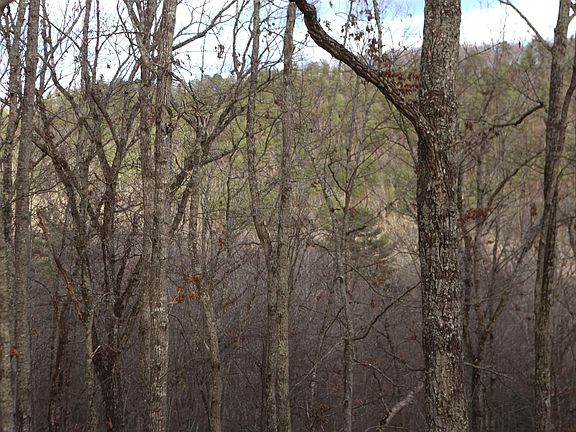 5th image of 16 Bolshers Run Ln