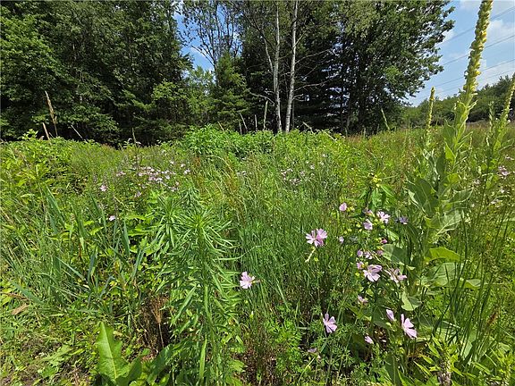 3rd image of 10720 Duck Lake Rd #19