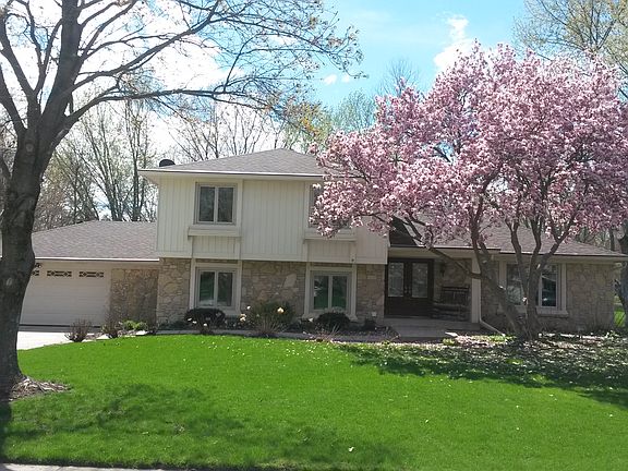 Beautiful magnolia tree