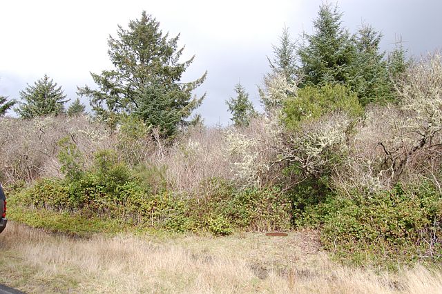1st image of 910 Mount Olympus Ave SE