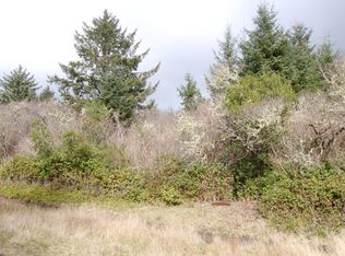910 Mount Olympus Ave SE, Ocean Shores, WA 98569