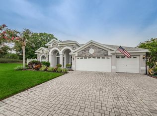 16404 Blue Whetstone Ln, Odessa, FL 33556