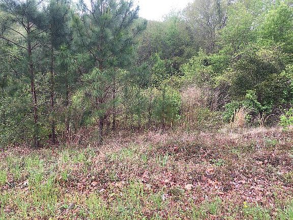 2nd image of 2710 Watermark Dr
