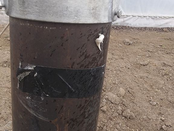 domestic well