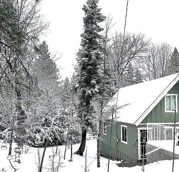 2418 Fir Dr — Photo 16