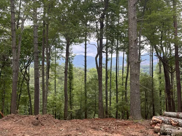 LOT 592 Sapulpa Ct, Ellijay, GA 30540