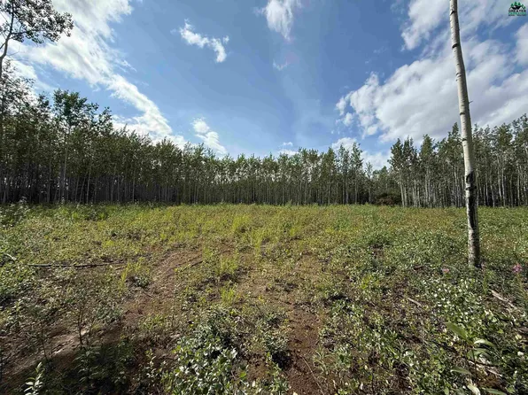 L6 Strawberry Rd, Delta Junction, AK 99737