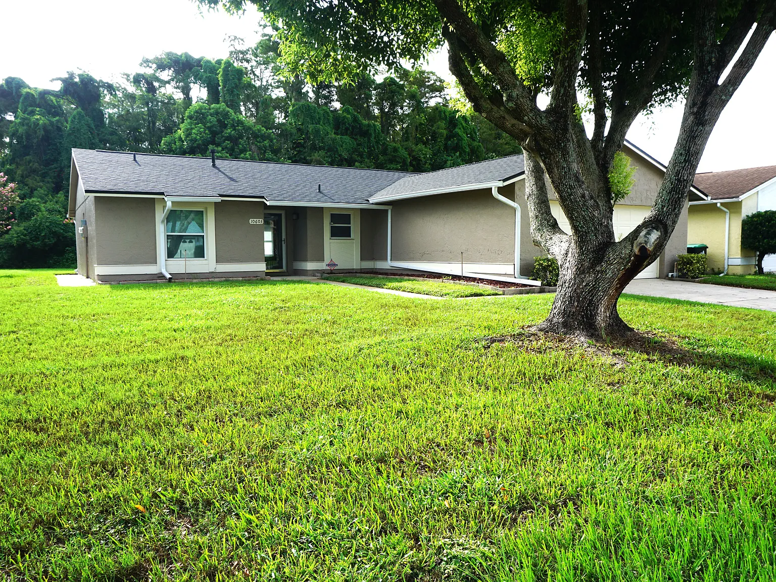 10603 Leafy Way — Photo 2
