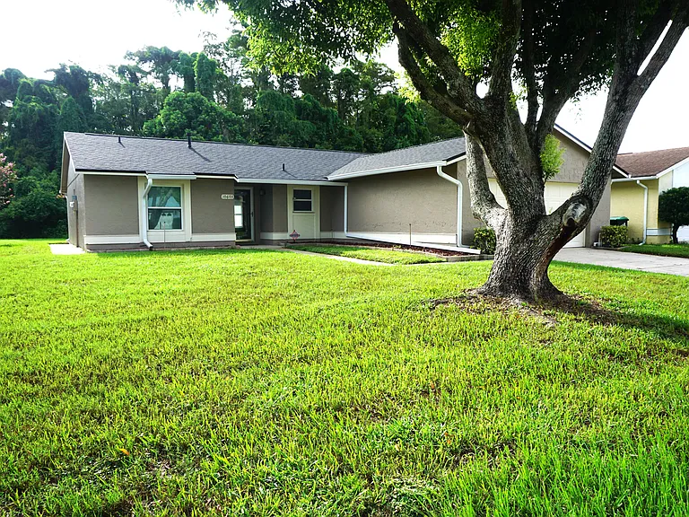 10603 Leafy Way — Photo 2