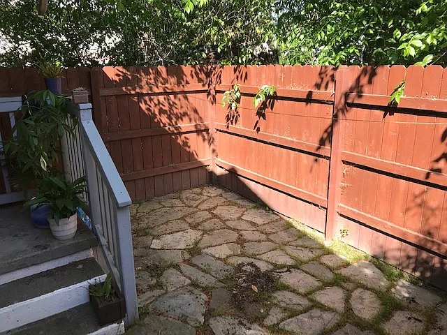 1150 Olive St #B — Photo 3