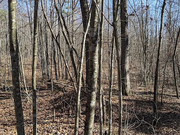 4th image of Old Baker Ln