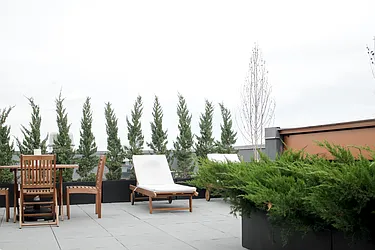 Rented by Urban Sanctuary