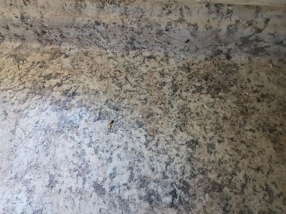 3rd image of 145 Edenwald Ave