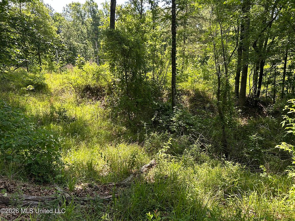 1st image of Sleepy Hollow Rd