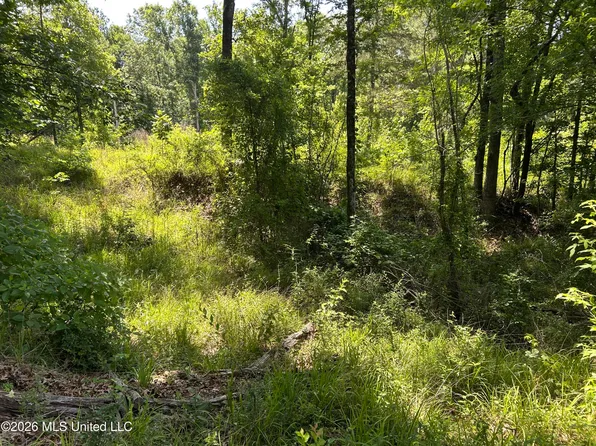 Sleepy Hollow Rd, Terry, MS 39170