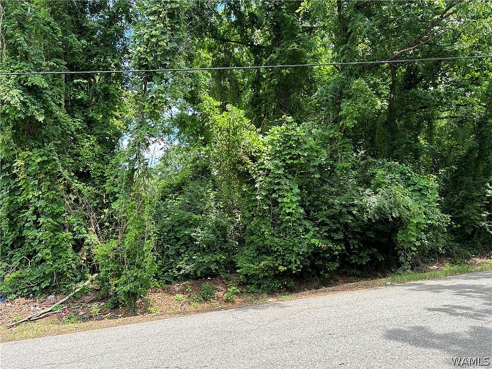2nd image of 0 Pine Crest Rd NE