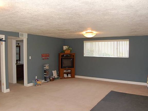 Basement Family Room