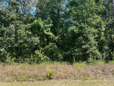 Tbd Ne River Park Rd, Lee, FL, 32059