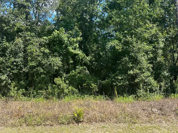 Tbd Ne River Park Rd, Lee, FL 32059