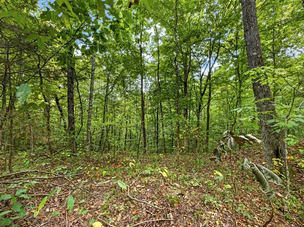 0 Timber Ridge Ln Lot 23, Celina, TN 38551