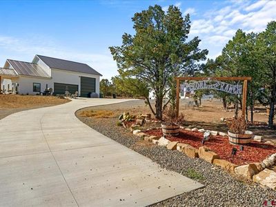 446 Snow Bush Drive, Montrose, CO, 81403