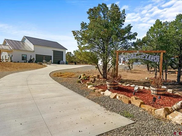 446 Snow Bush Drive, Montrose, CO 81403