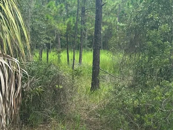 11001 W DUBLIN STREET LOT 2, CRYSTAL RIVER, FL 34428