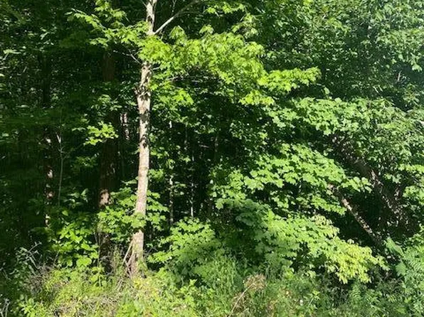 LOT 5 Cooktown Rd, Wilder, TN 38589