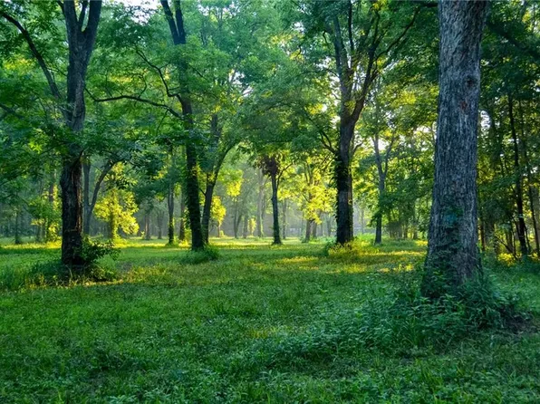 0 E Halley Rd, Nevada, MO 64772