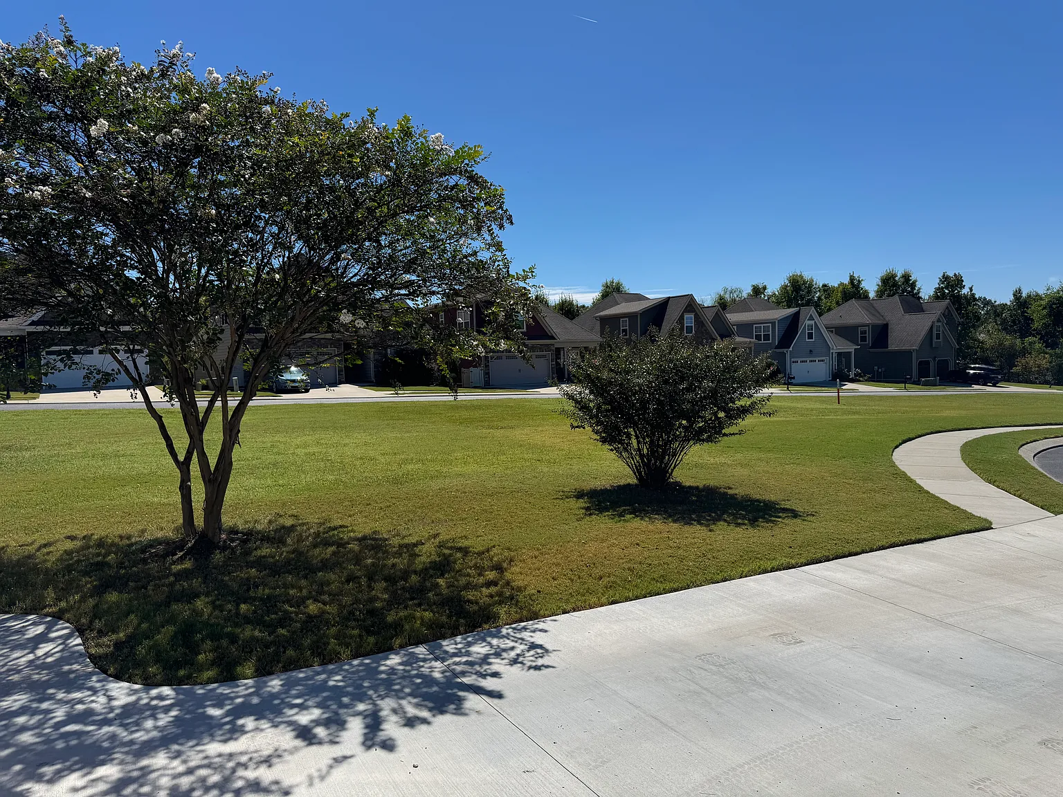 3 bed, 2038 sqft, $2,695 — Photo 3