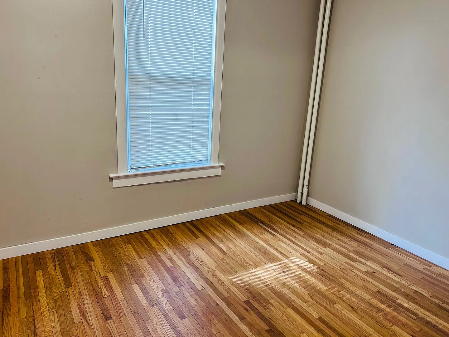 567 Livingston Ave — Photo 4