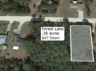 21870 NE 135th Ln, Fort Mc Coy, FL 32134