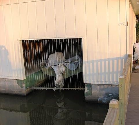 3rd image of 244 N Lakeshore Dr