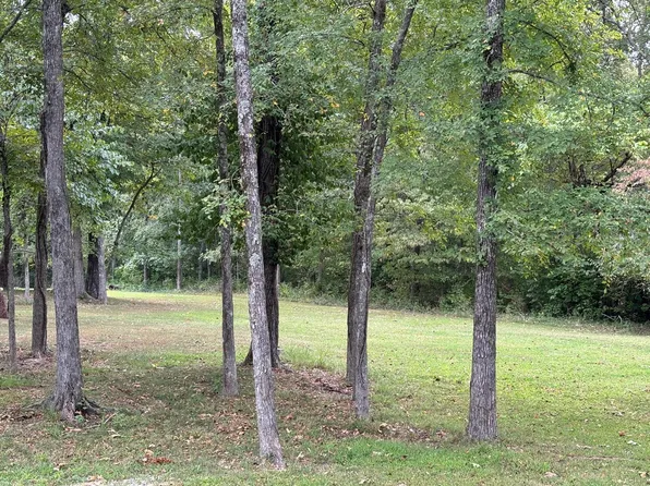 000 S Hickory Street, Forsyth, MO 65653