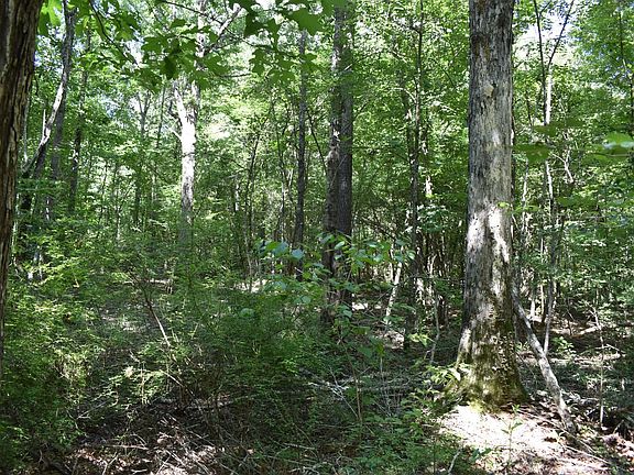 4th image of McGarrahan Rd