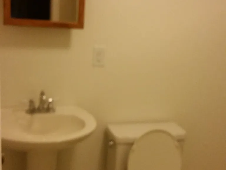 113 Woodward St — Photo 11
