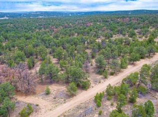 1-3 Gods Acre Rd, Ramah, NM 87321